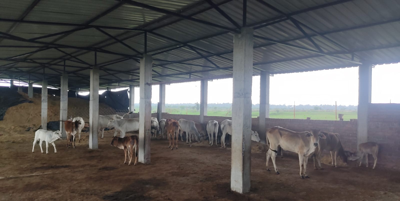 गैलरी छवि 11
